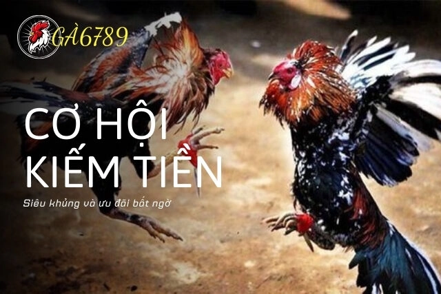 Cơ hội kiếm tiền KHỦNG và ƯU ĐÃI BẤT NGỜ với Chính Sách Đại Lý Gà6789