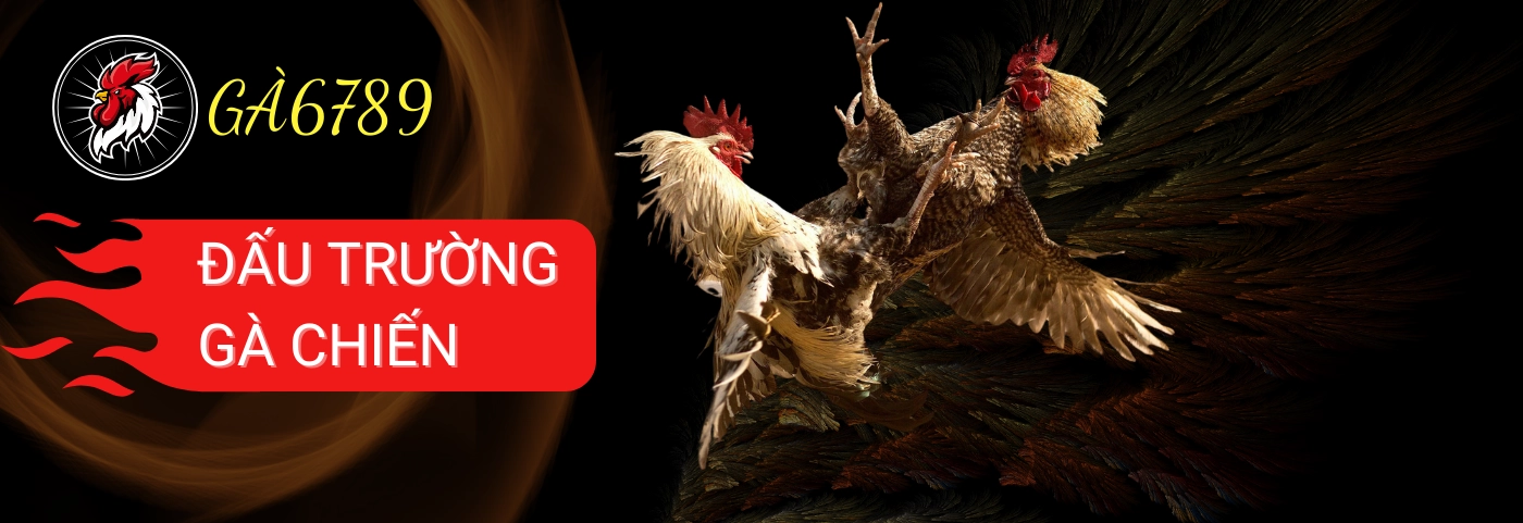 123b - Nền Tảng Cá Cược Đỉnh Cao Với Nhiều Tiềm Năng Phát Triển