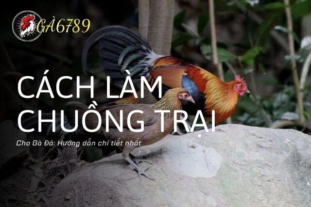 Cách Làm Chuồng Trại Cho Gà Đá Giúp Gà Phát Triển Tốt Nhất