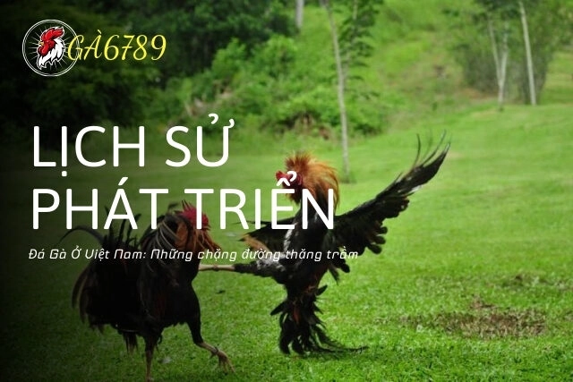 Những Dấu Ấn Lịch Sử Và Phát Triển Của Đá Gà Ở Việt Nam