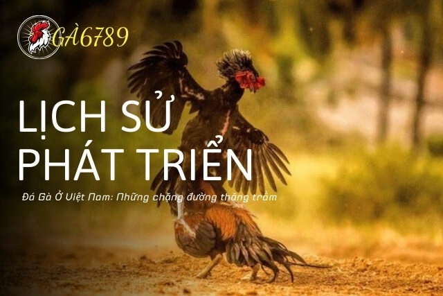 Tìm Hiểu Lịch Sử Và Phát Triển Của Đá Gà Ở Việt Nam