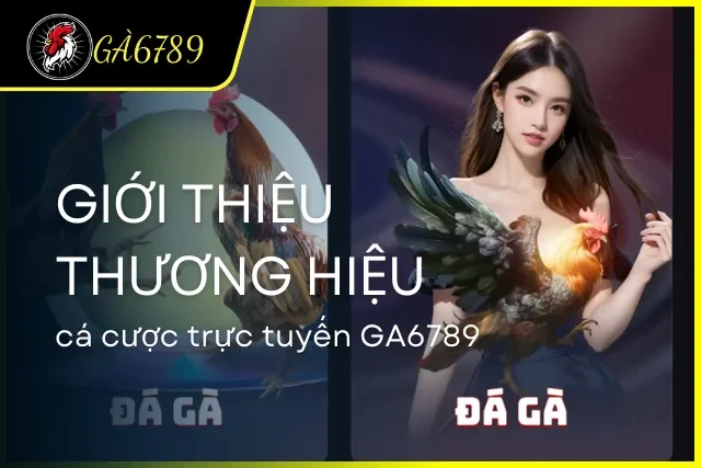 Khám phá thông tin về nhà cái đá gà GA6789